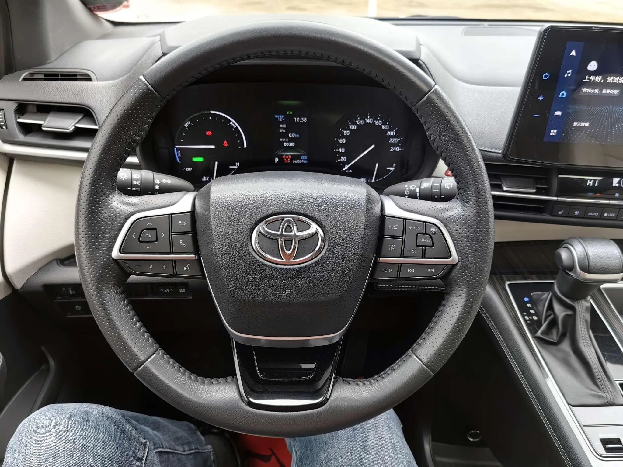TOYOTA Saina 2.5L Hybrid Premium Edition