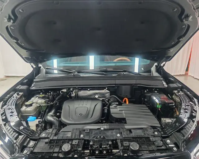 Wei Blue Mountain Four-wheel drive ultra-long battery life version