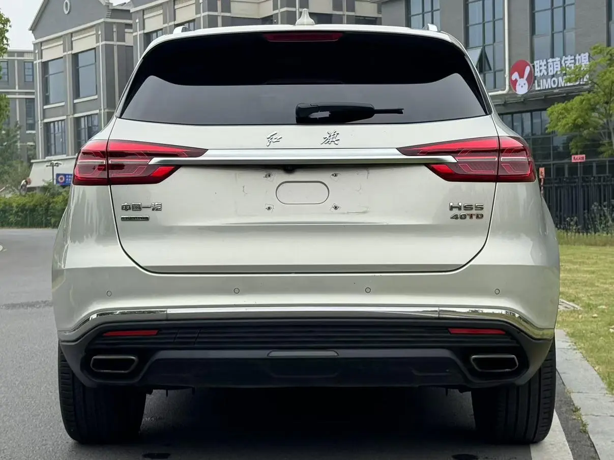 Hongqi Hongqi HS5 2.0T Zhilian Qixiang four-wheel drive version