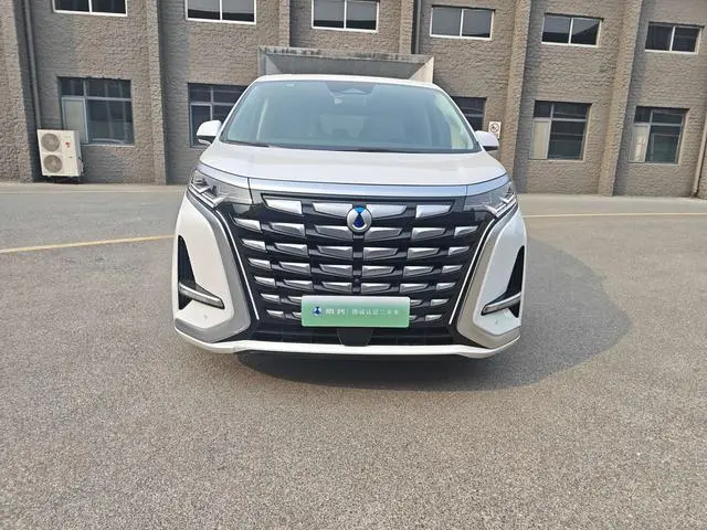 Denza Denza D9 DM 980 four-wheel drive honor type