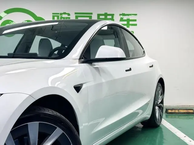 Tesla Model 3 Rear-wheel drive version
