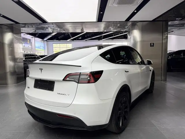 Tesla Model Y Long battery life all-wheel drive version