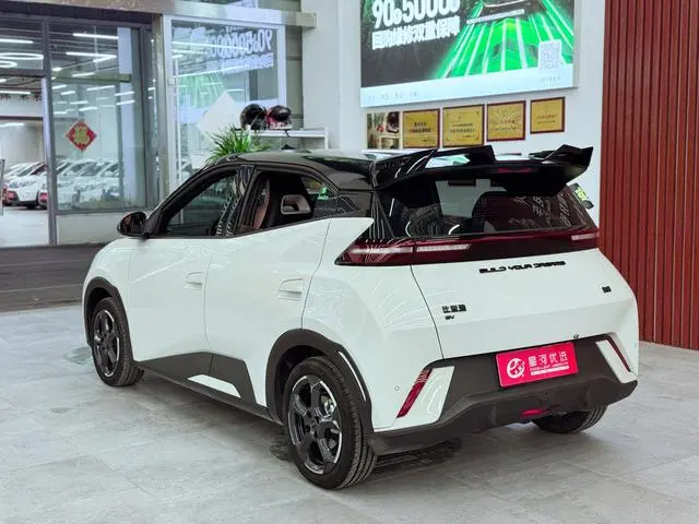 BYD Seagull Flying Version