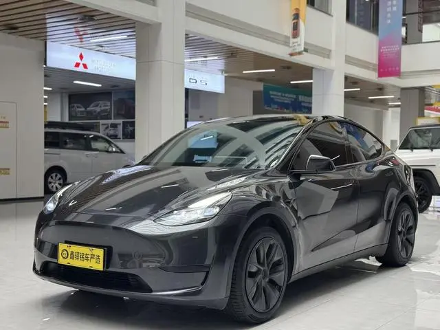 Tesla Model Y Rear-wheel drive version
