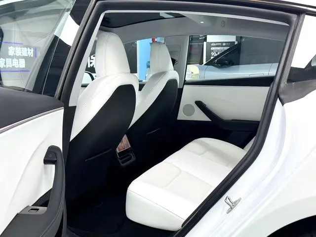 Tesla Model 3 Rear-wheel drive version