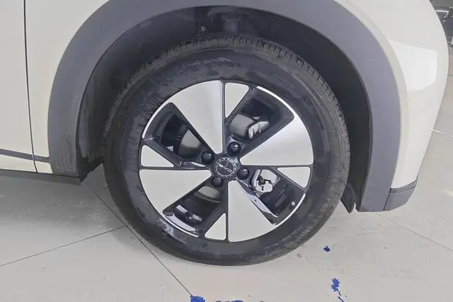 BYD dolphin Fashion edition