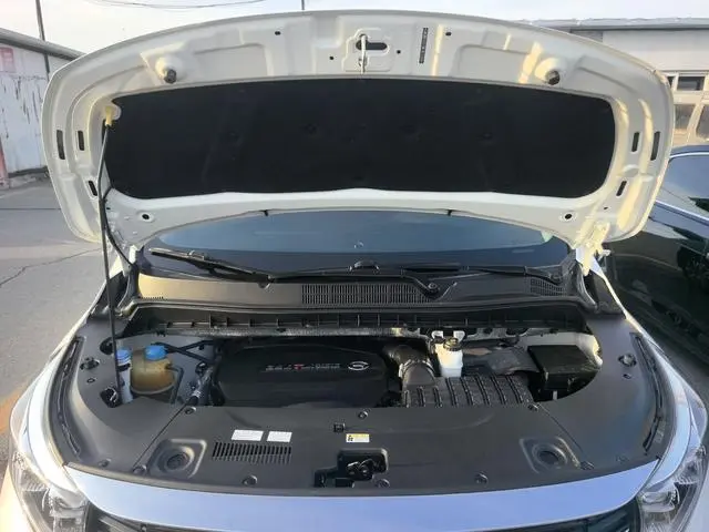 GAC Trumpchi M8 Lingxiu Series 390T Deluxe Edition