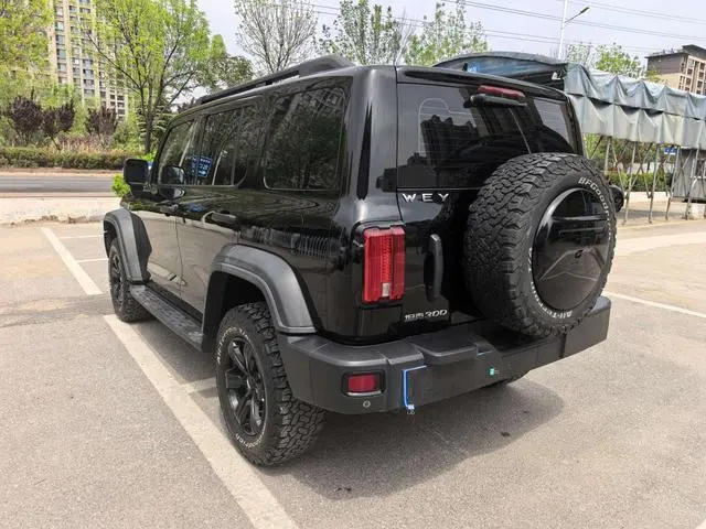 Tank Tank 300 Off-road version 2.0T Conqueror
