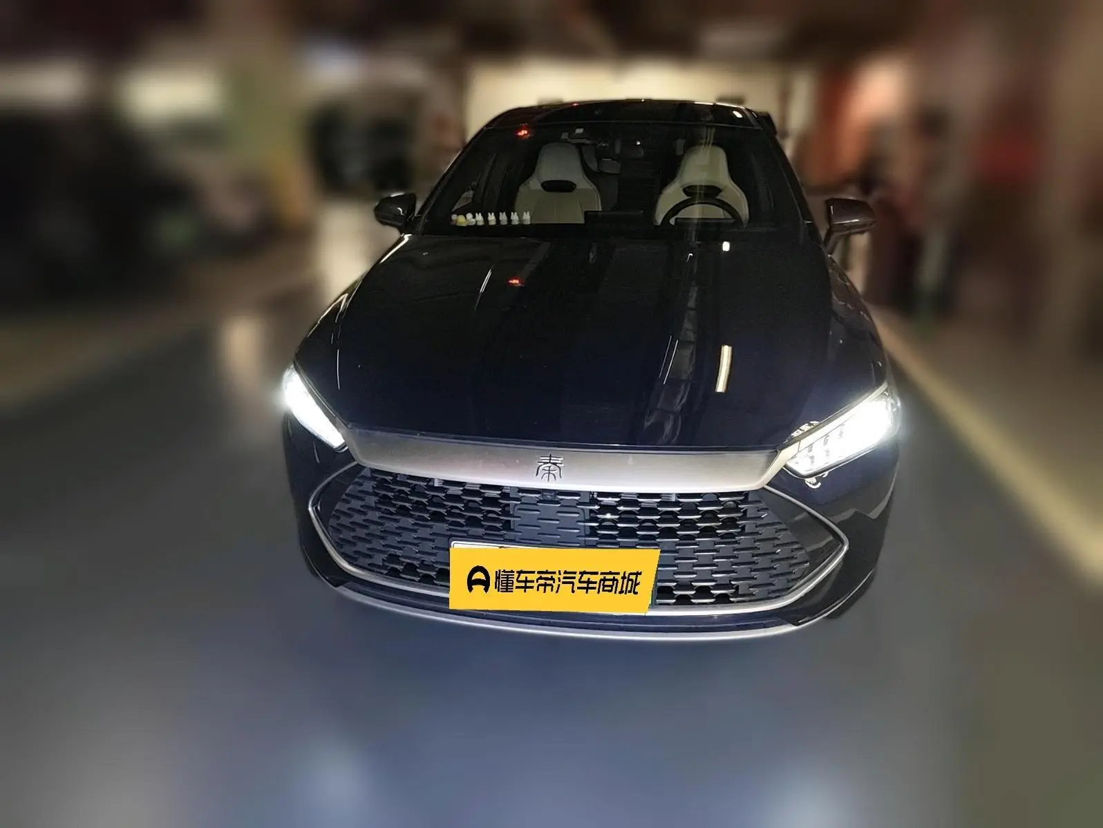 BYD Qin PLUS DM DM-i Champion Edition 55KM Transcendent Type
