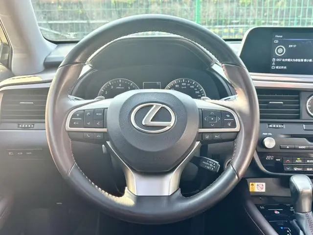Lexus Lexus RX Facelift 300 two-wheel drive comfort version