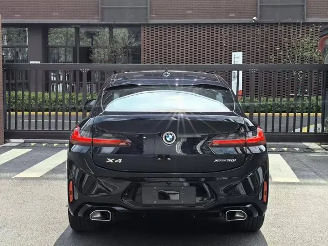 BMW BMW X4 xDrive 30i M sports suit