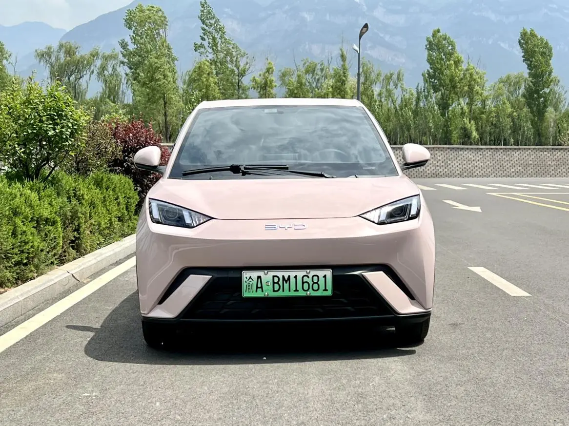 BYD Seagull 305KM Vitality Edition