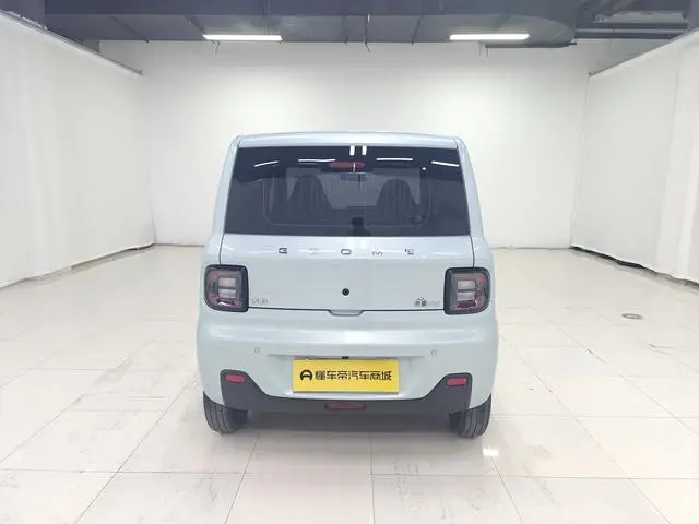Geely Galaxy panda 200km panda mini endurance bear