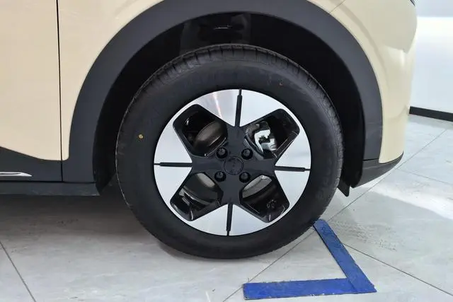 Geely Galaxy Star Wish 310km Dream Edition