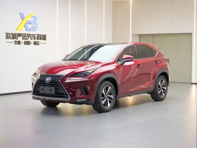 Lexus Lexus NX 300h full drive Fengzhi edition country VI