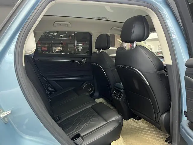 VOYAH Lan Tu FREE Four-wheel drive standard range extension exclusive luxury set