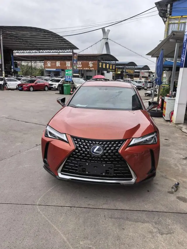 Lexus Lexus UX 260h Exploration*Cool Edition Country VI