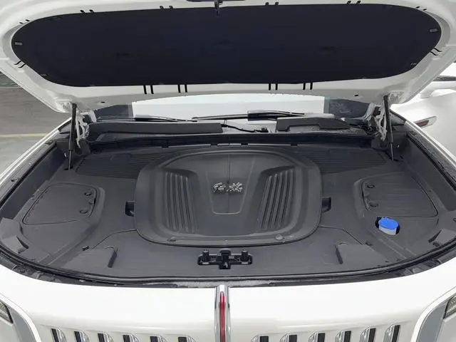 Hongqi Hongqi E-HS9 660km Qichang version six seats