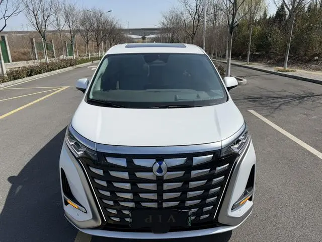 Denza Denza D9 DM 970 four-wheel drive flagship