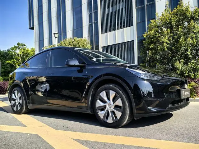 Tesla Model Y Rear-wheel drive version