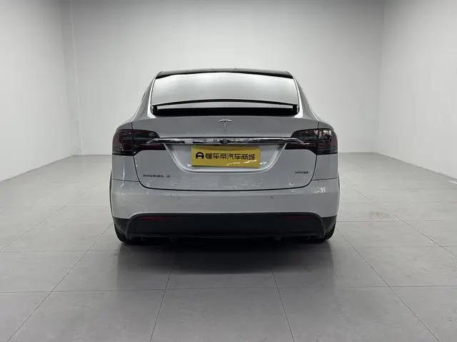 Tesla Model X 100D long battery life version