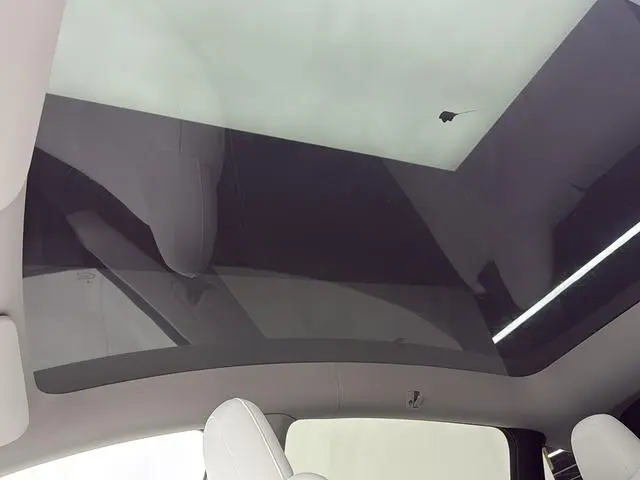 Tesla Model Y Performance high-performance all-wheel drive version