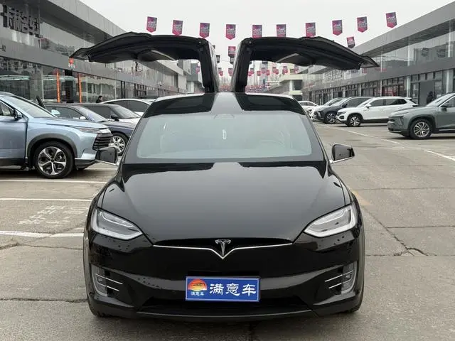 Tesla Model X 75D