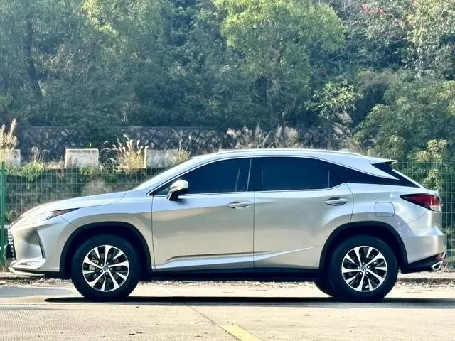 Lexus Lexus RX Facelift 300 two-wheel drive comfort version