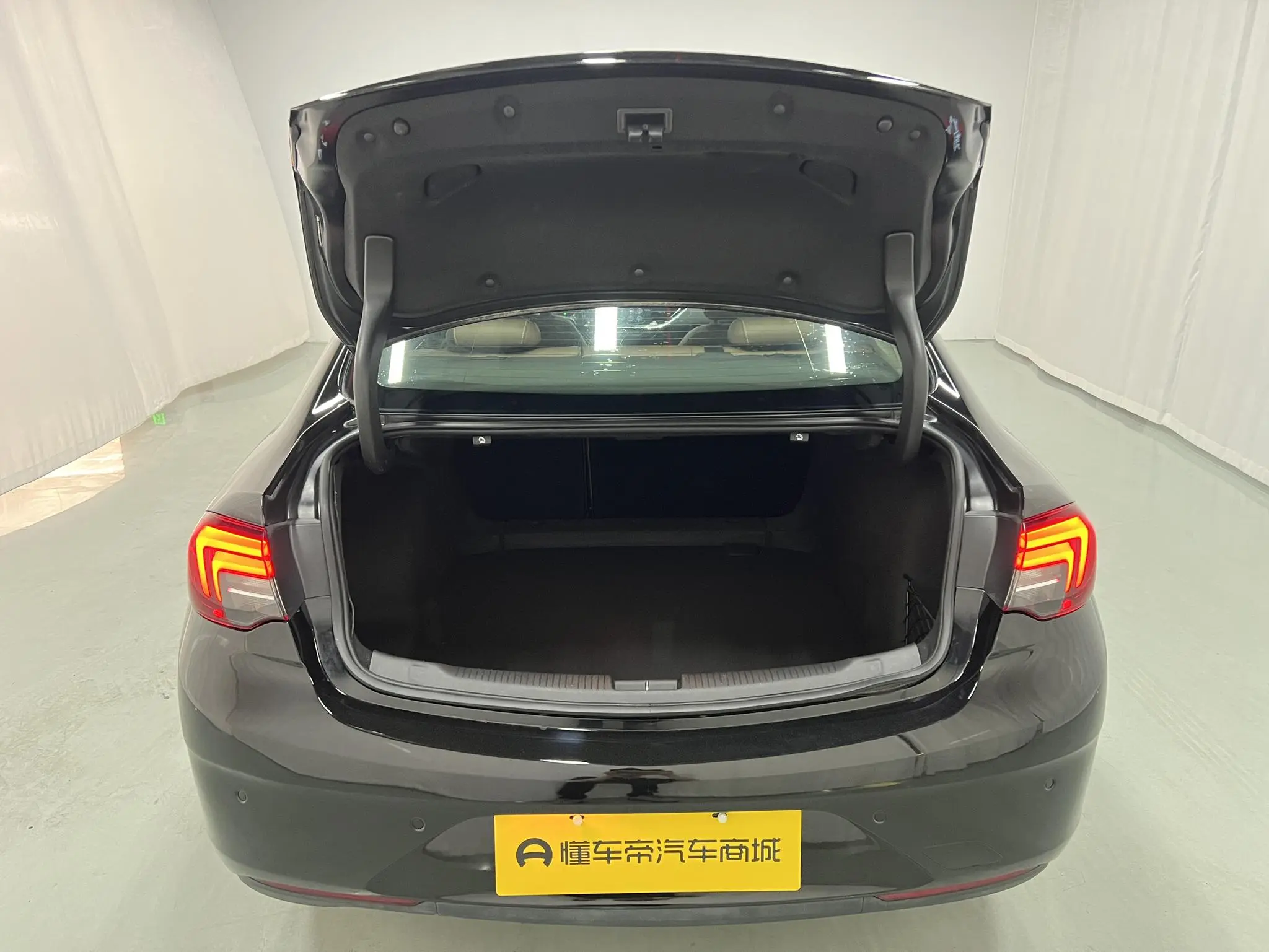 Buick Regal 20T Elite Country VI