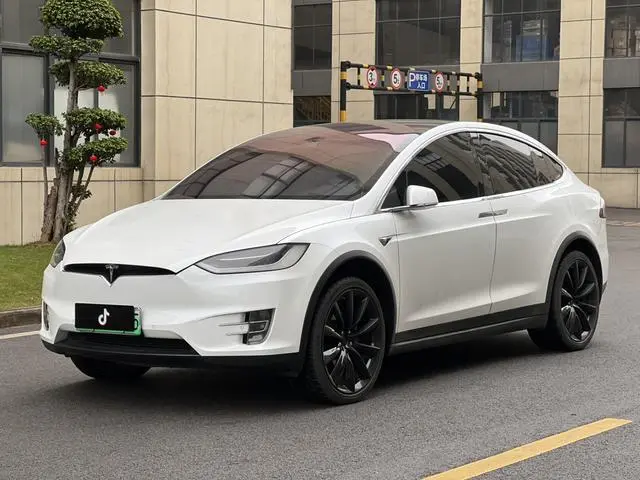 Tesla Model X 100D long battery life version