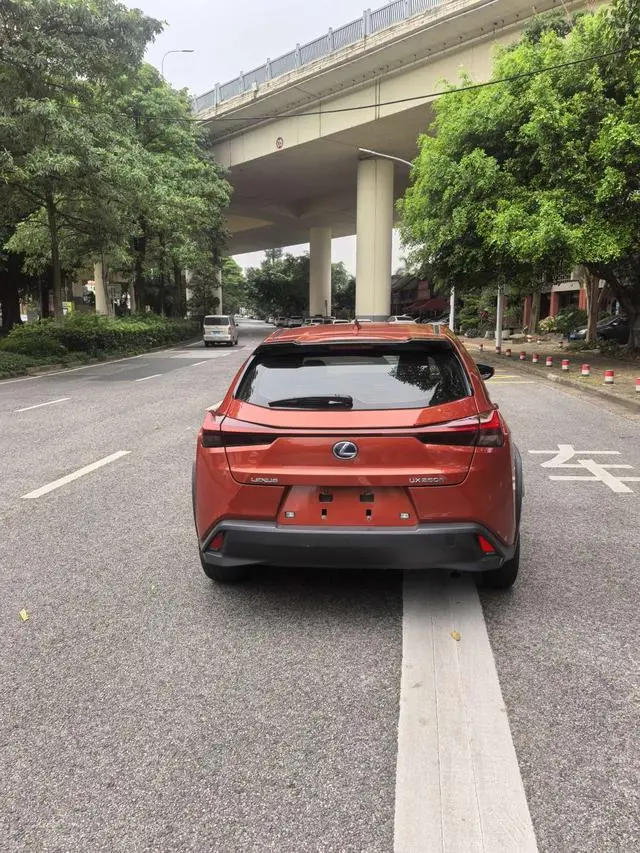Lexus Lexus UX 260h Exploration*Cool Edition Country VI