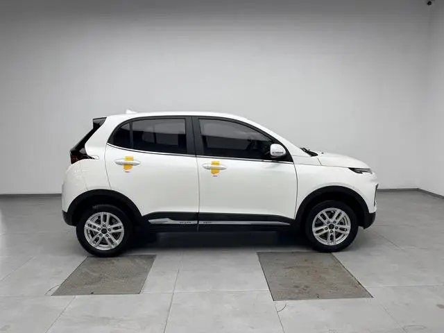 Dayun Yuehu 300 Standard Edition
