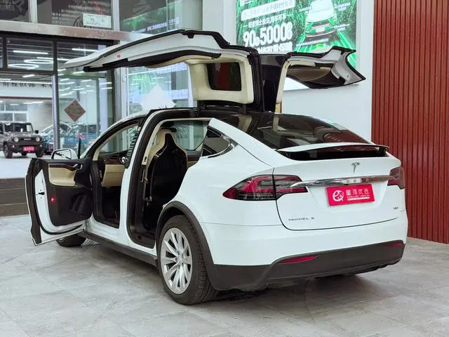 Tesla Model X 75D