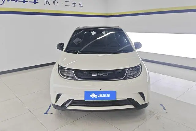 BYD dolphin Fashion edition