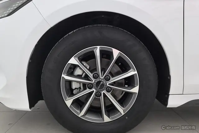 BYD Destroyer 05 DM-i Champion Edition 55KM Luxury