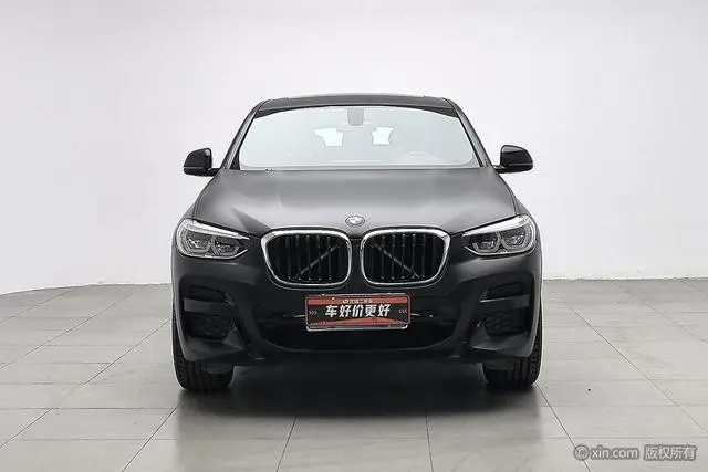 BMW BMW X4 xDrive25i M sports suit