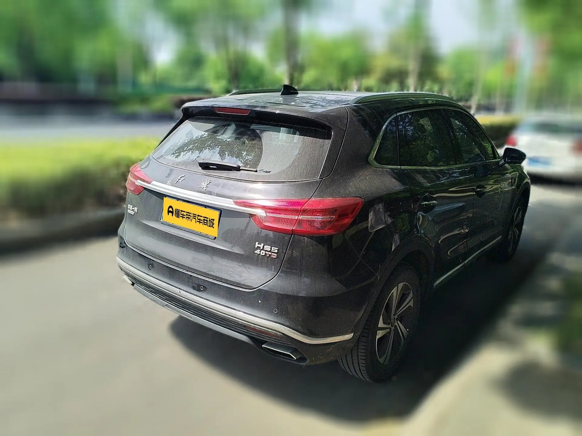 Hongqi Hongqi HS5 2.0T Zhilian Flag Enjoy Edition