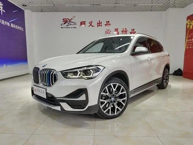 BMW BMW X1 xDrive25Li Exclusive type