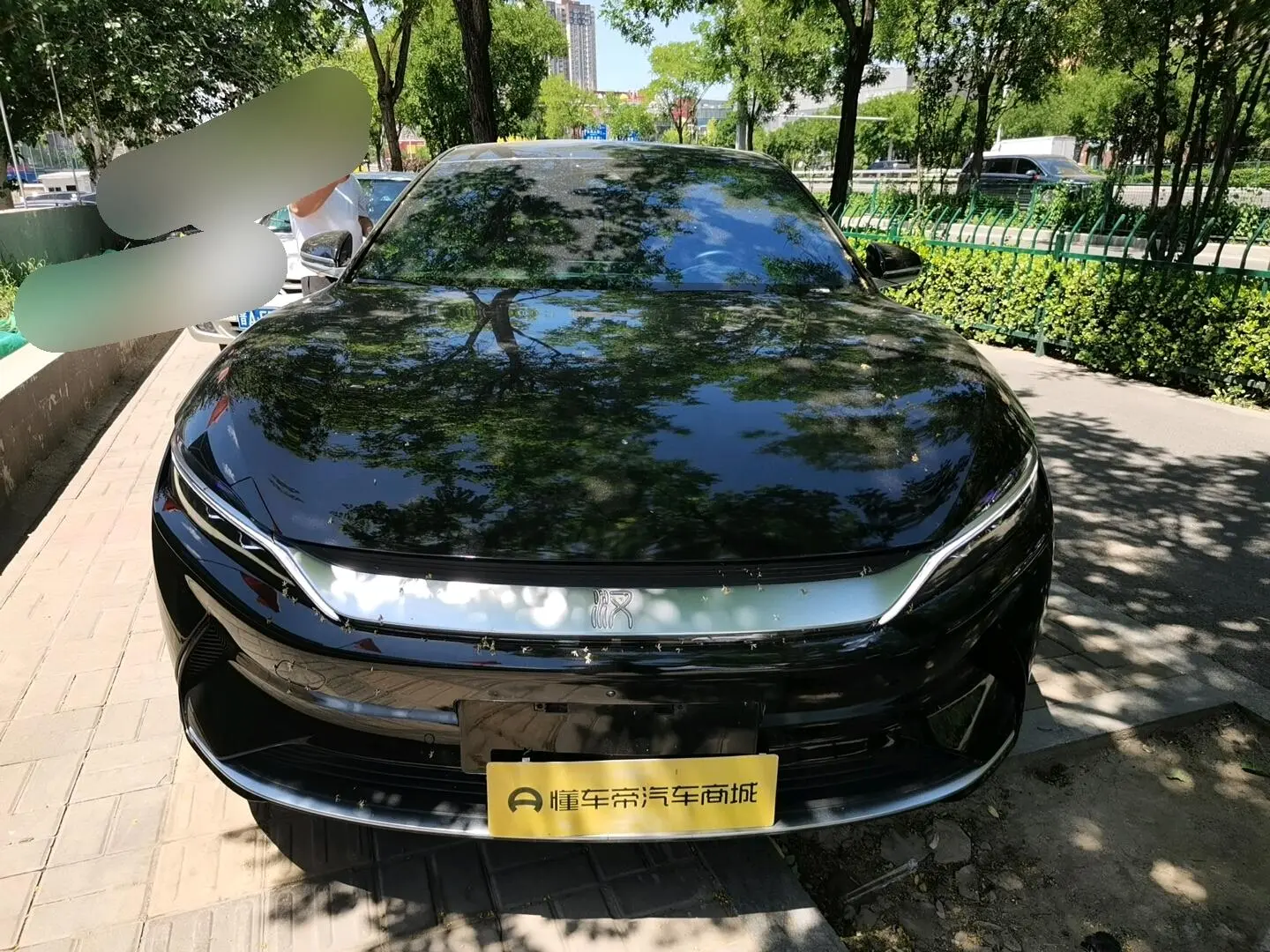 BYD Han EV Four-wheel drive high-performance version flagship