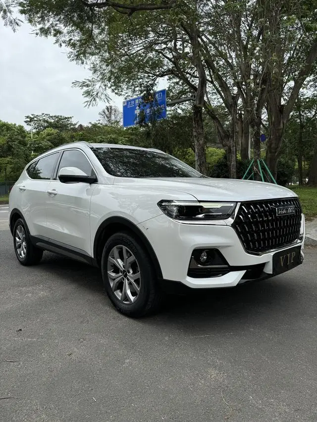 Haval Haval H6 National Tide Version 1.5T Automatic Champion Version