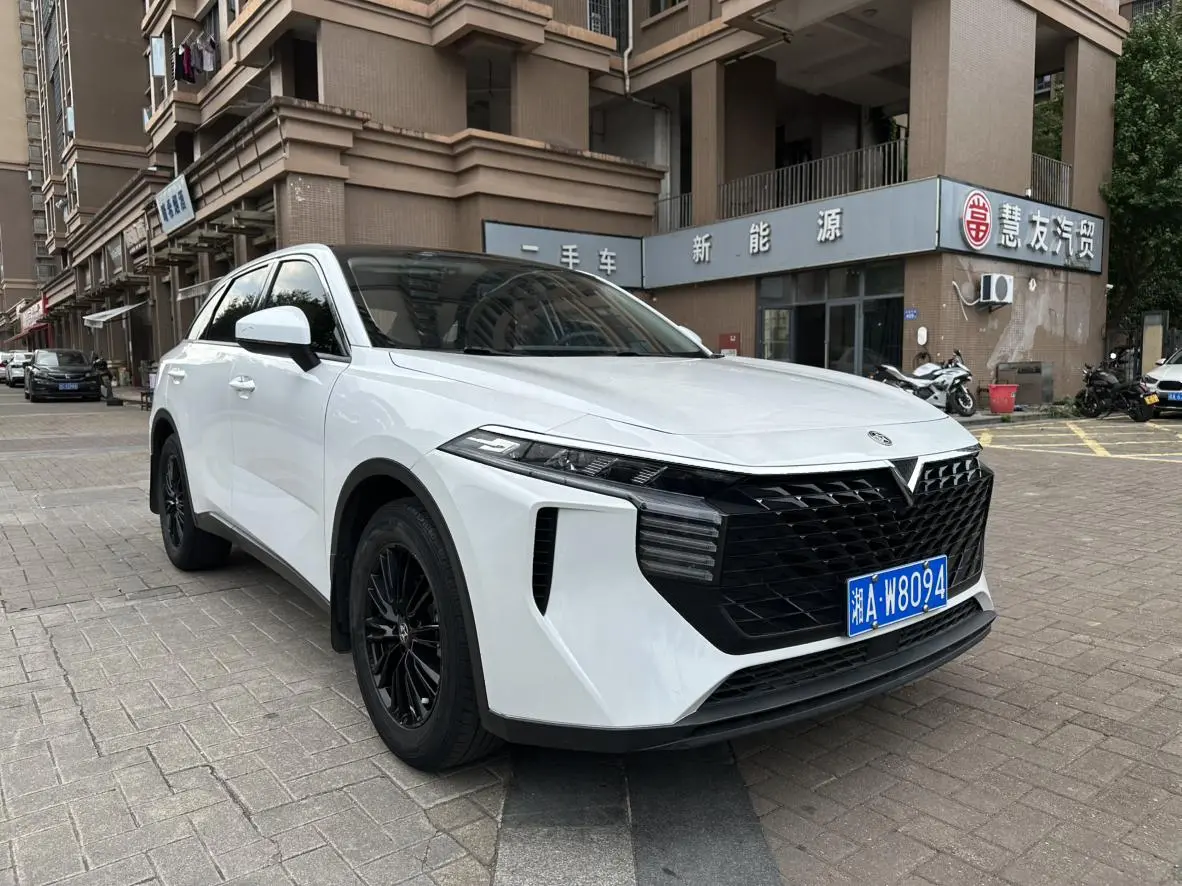 Venucia Qichen Big V 260T King Edition
