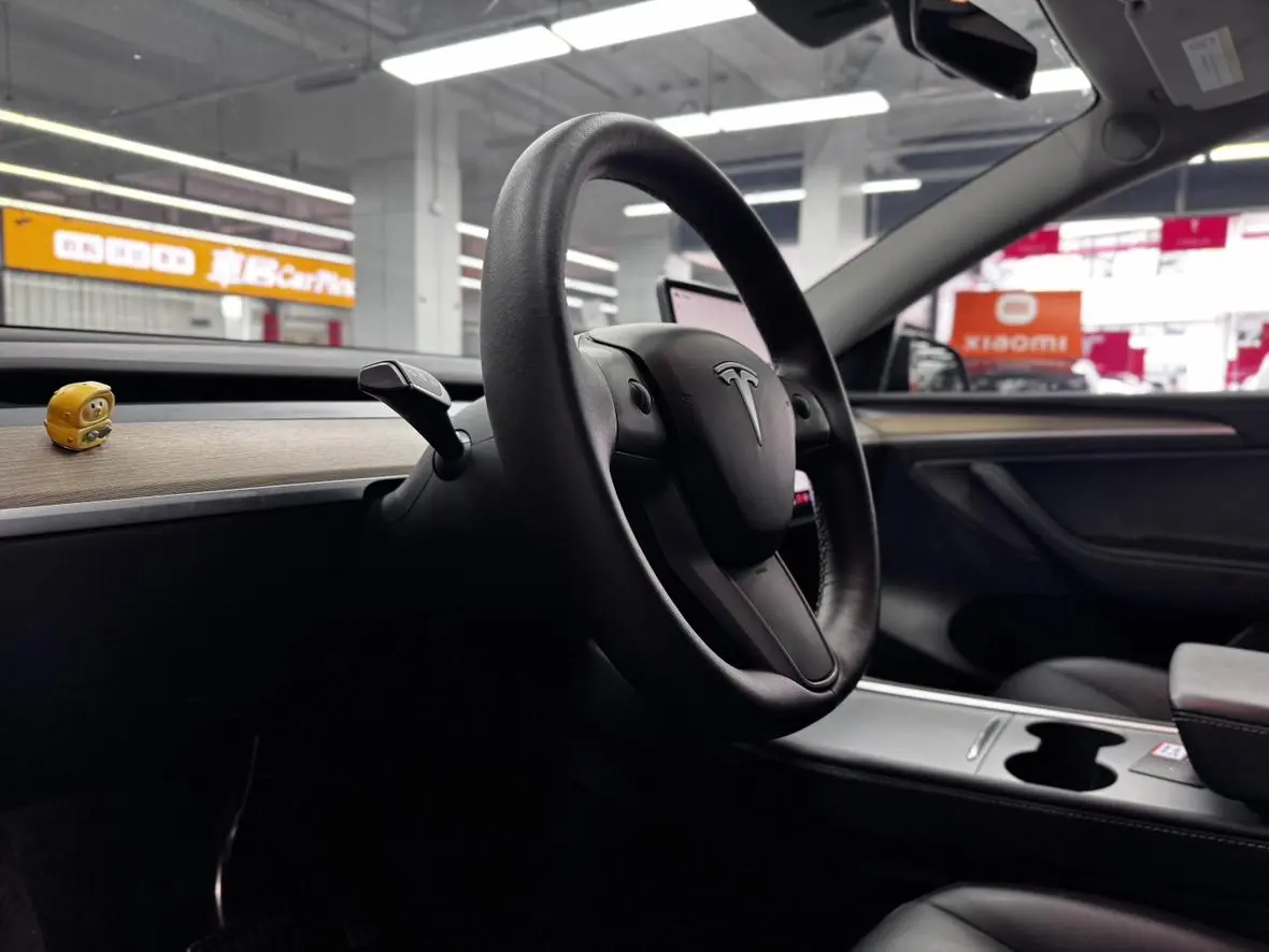 Tesla Model Y Long battery life all-wheel drive version