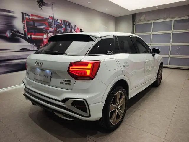 Audi Audi Q2L 35 TFSI fashion dynamic type