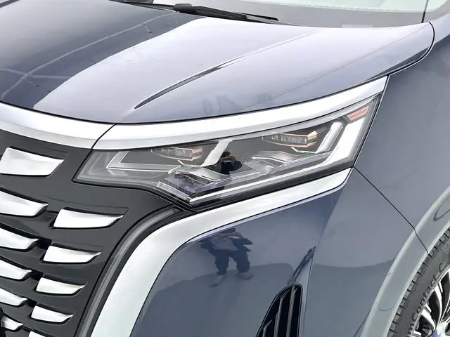 Denza Denza D9 DM 970 four-wheel drive flagship