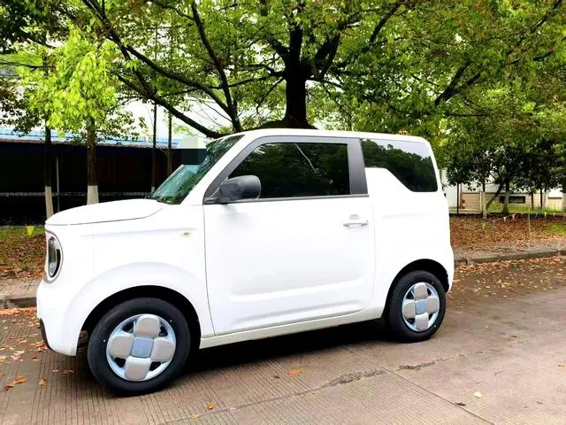 Geely Galaxy panda 120km panda mini super cute bear