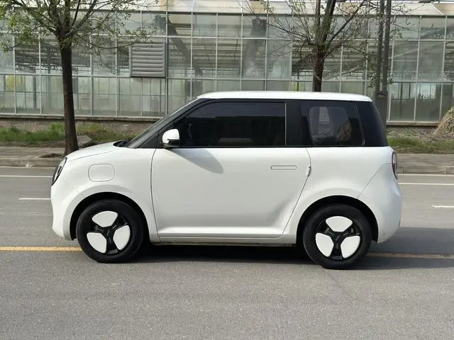 Changan Qiyuan Changan Lumin 301KM honey sweet