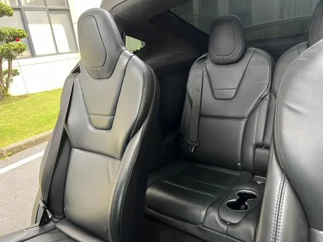 Tesla Model X 100D long battery life version