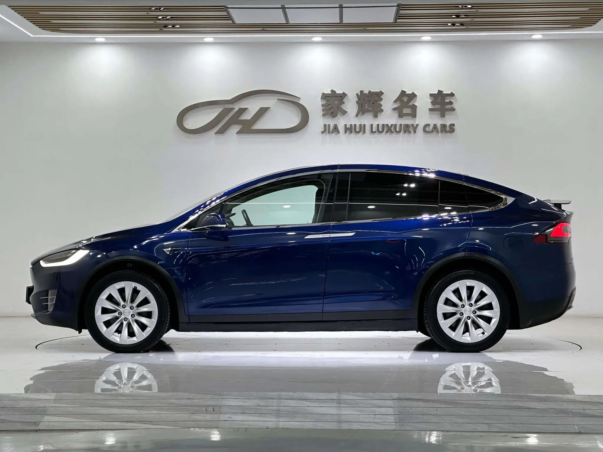 Tesla Model X 100D long battery life version