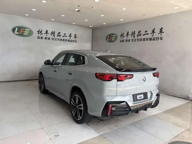 BMW BMW X2 (imported) sDrive25i M sports suit
