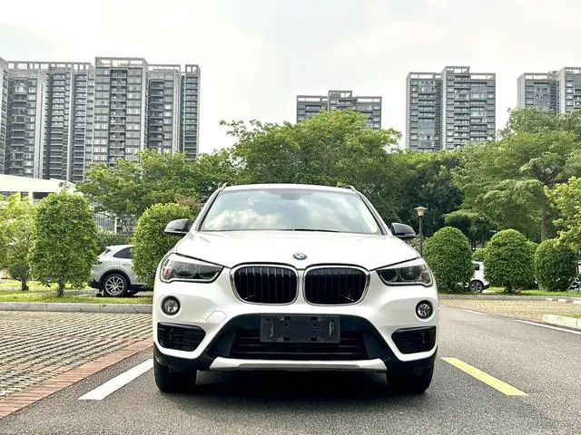 BMW BMW X1 xDrive20Li Luxury